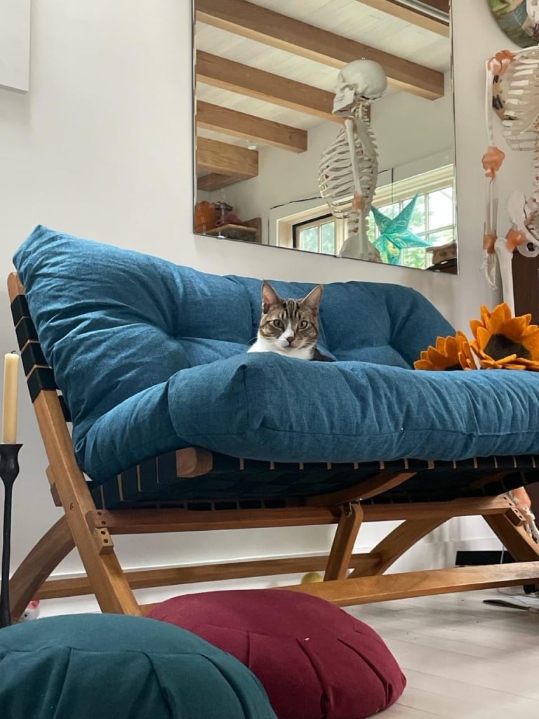 Image #1 from NorNorNor