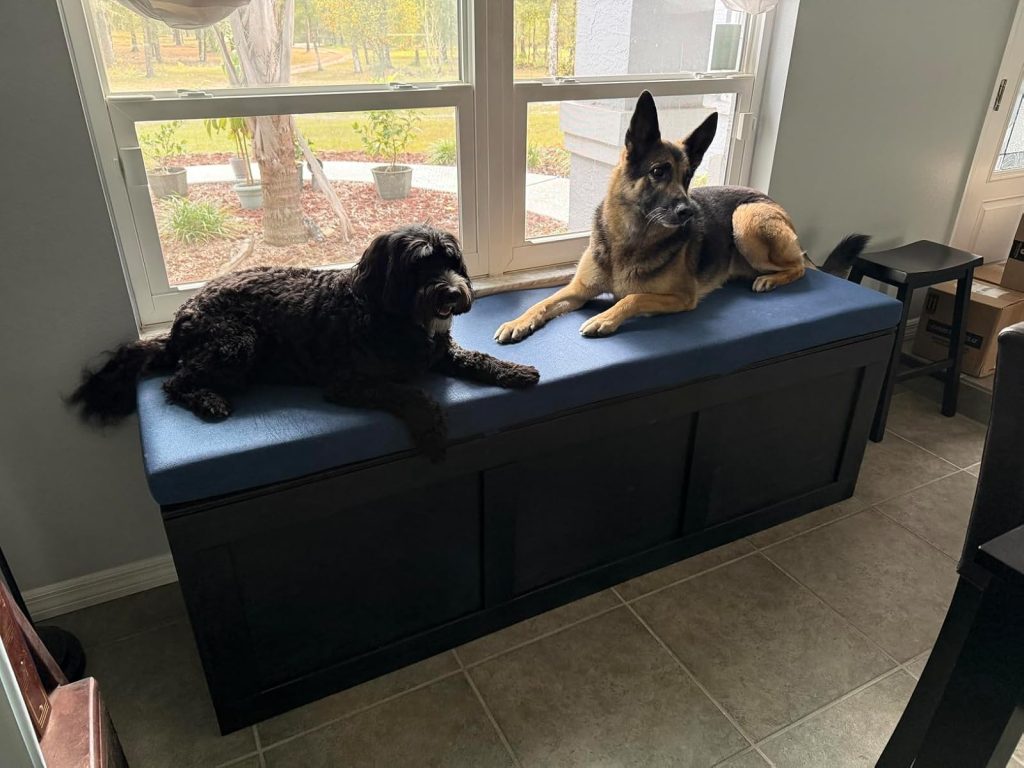 Image #1 from Madison Dowdy