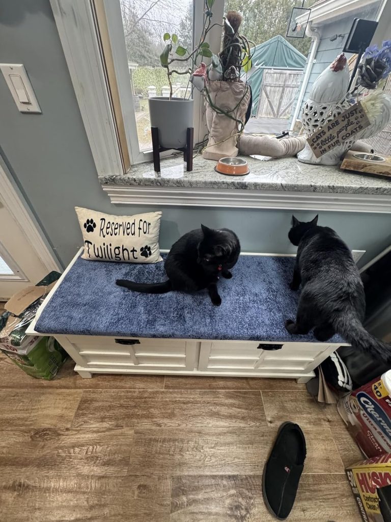 Image #1 from Dale Holland