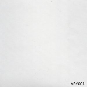 ARY001