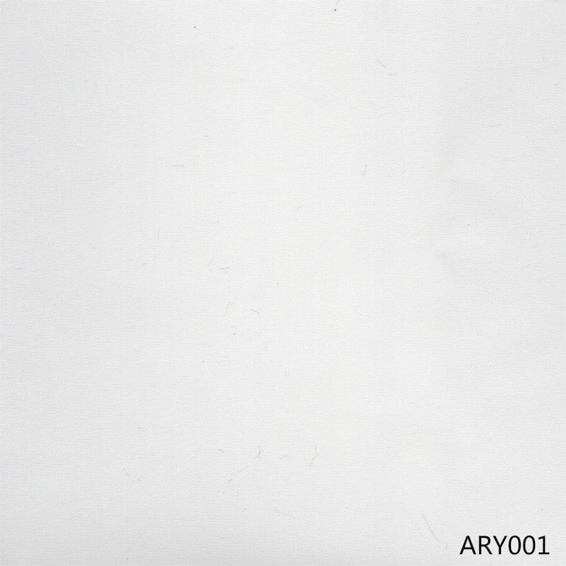 ARY001