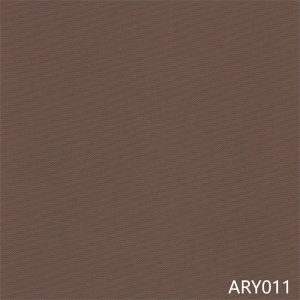 ARY011
