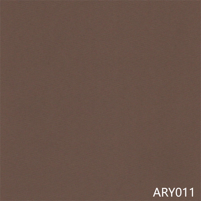 ARY011