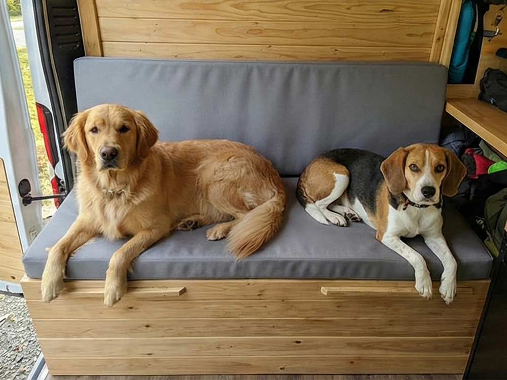 Image #2 from Mike Miller